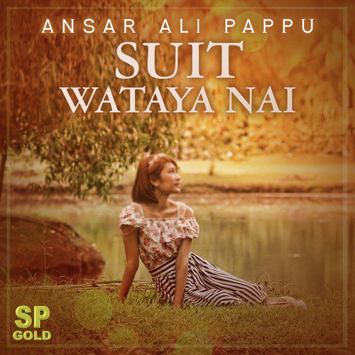 Suit Wataya Nai by Ansar Ali Pappu - Download on PagalFree