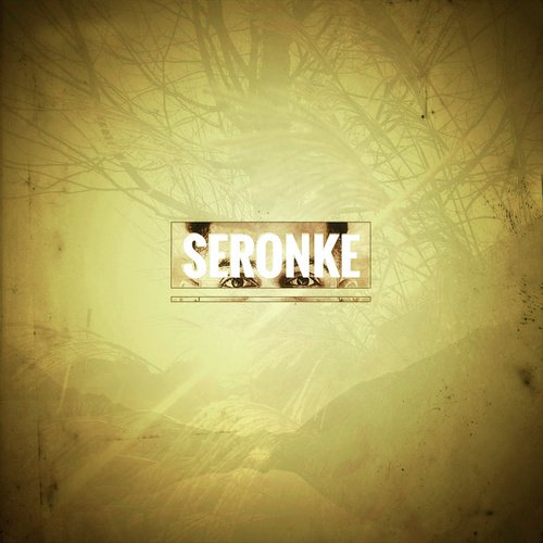 North Indian by Seronke - Download on PagalFree