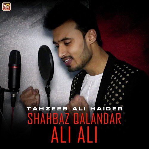 Shahbaz Qalandar Ali Ali by Tahzeeb Ali Haider - Download on PagalFree