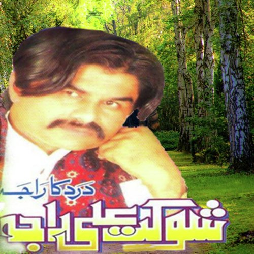Yaad Saadi Aawegi by Shoukat Ali Raja - Download on PagalFree
