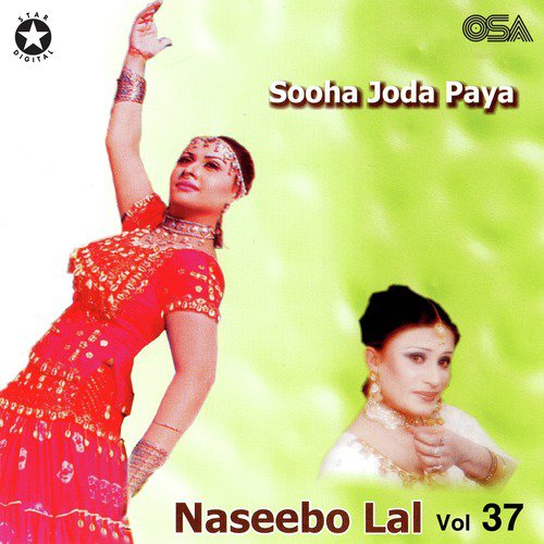 Tere Mere Pyar Di by Naseebo Lal - Download on PagalFree