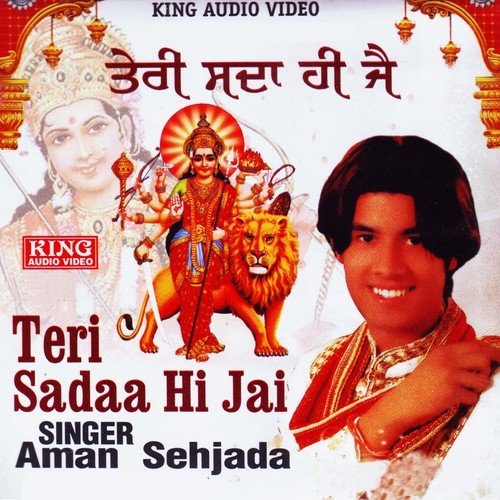Tere Rahin Bhandare by Aman Sehzada - Download on PagalFree
