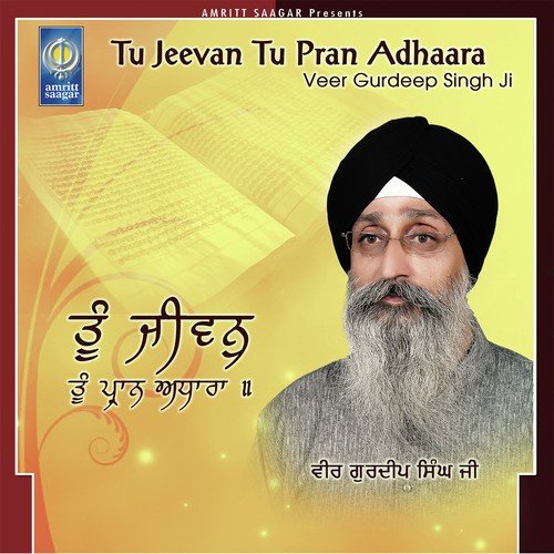 Man Mere Har Ke Charan Ravi Je by Veer Gurdeep Singh Ji - Download on PagalFree