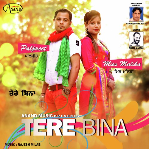 Tere Bina by Palpreet, Miss Malika - Download on PagalFree