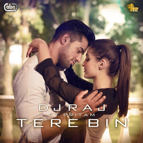 Tere Bin by DJ Raj - Download on PagalFree