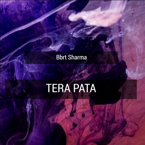 Tera Pata by Bbrt Sharma - Download on PagalFree
