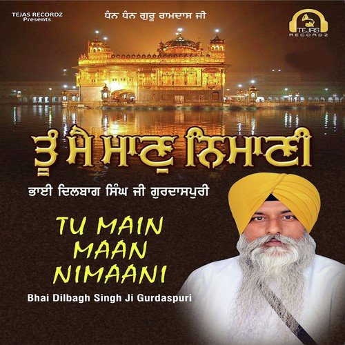 Tu Main Maan Nimaani by Bhai Dilbagh Singh Ji Gurdaspuri, Bhai Dilbagh Singh Ji Gurdaspuri - Download on PagalFree