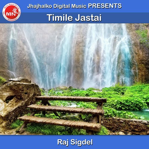Timile Jastai by Raj Sigdel - Download on PagalFree
