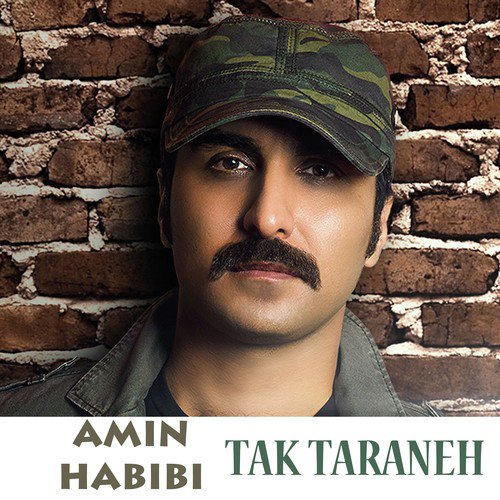 Mohkam Begiram by Amin Habibi - Download on PagalFree