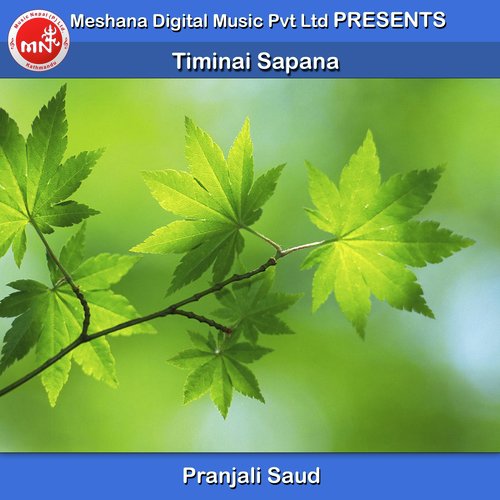 Timinai Sapana by Pranjali Saud - Download on PagalFree