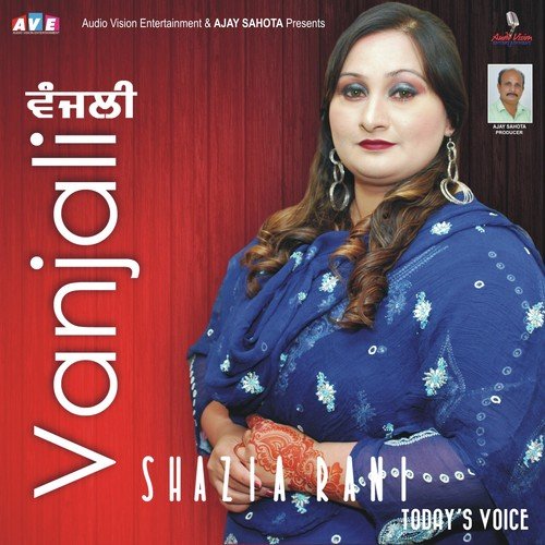Teri Vanjali by Shazia Rani - Download on PagalFree