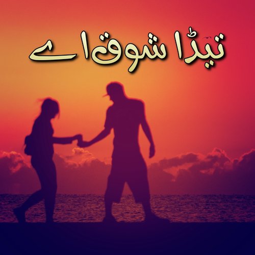 Tedi Zindagi Vich Dohry Hi Dohry by Various Artists - Download on PagalFree