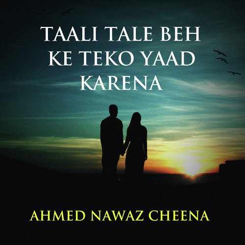 Mare Dil by Ahmed Nawaz Cheena - Download on PagalFree