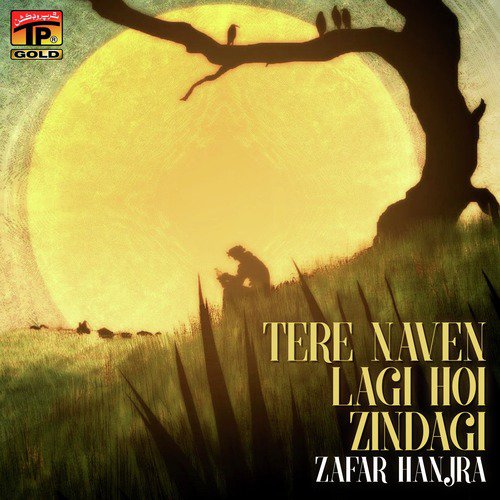 Beliya Rasayan Karye by Zafar Hanjra - Download on PagalFree