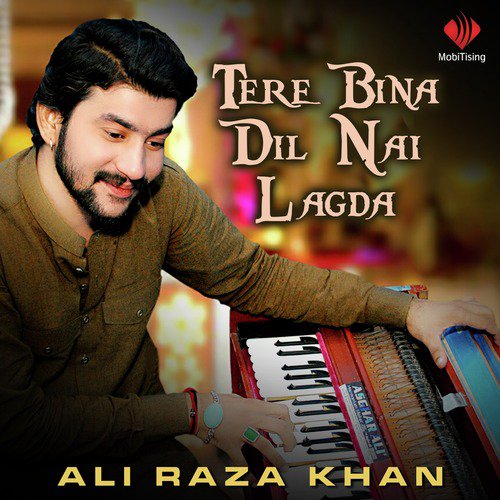 Tere Bina Dil Nai Lagda by Ali Raza Khan - Download on PagalFree