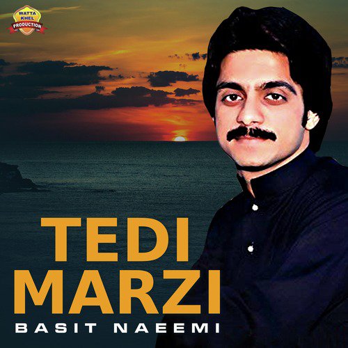 Tedi Marzi by Basit Naeemi - Download on PagalFree