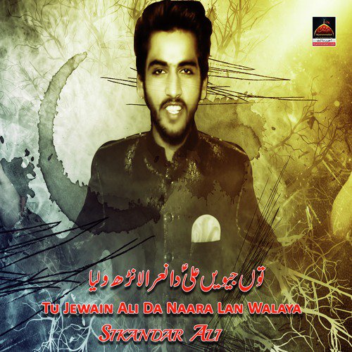 Tu Jewain Ali Da Naara Lan Walaya by Sikandar Ali - Download on PagalFree