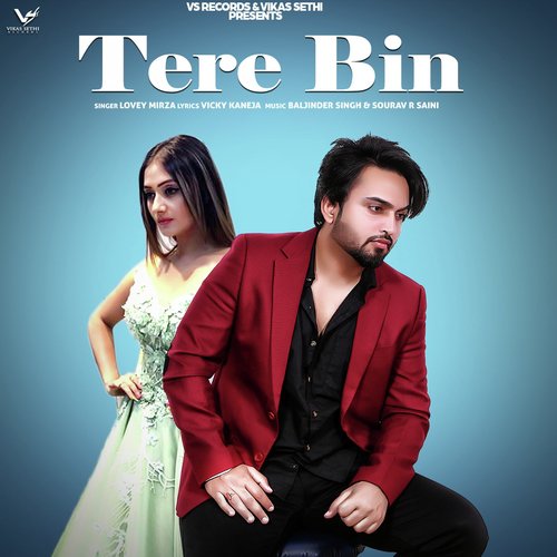 Tere Bin by Lovey Mirza - Download on PagalFree