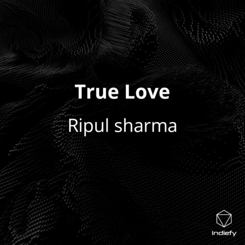 True Love by Ripul Sharma - Download on PagalFree
