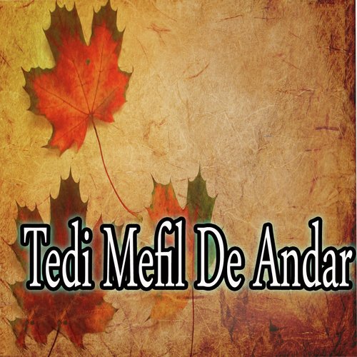 Main Han Tedi by Various Artists - Download on PagalFree