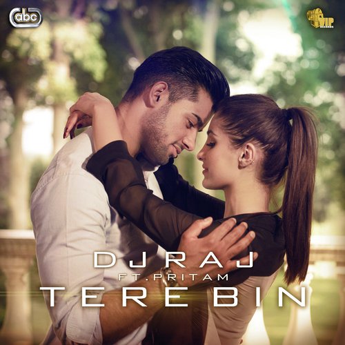 Tere Bin by DJ Raj, Pritam - Download on PagalFree