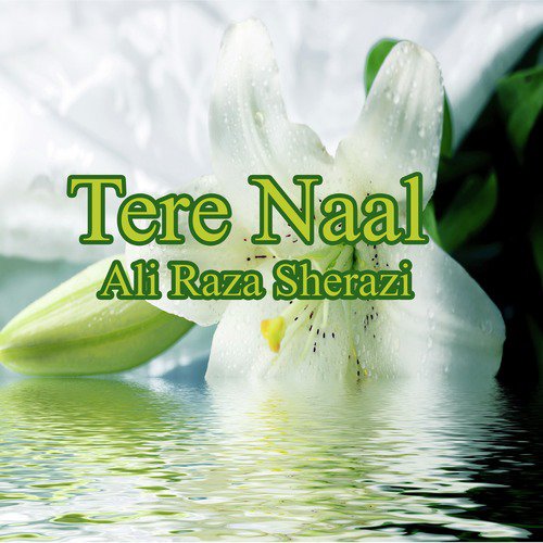 Tere Naal by Ali Raza Sherazi - Download on PagalFree