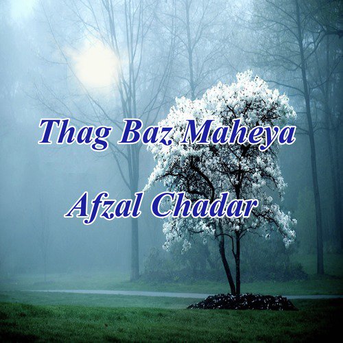 Oh Mera Rosa Waday by Afzal Chadar - Download on PagalFree