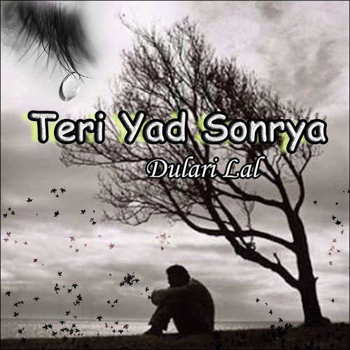 Teri Yad Sonrya by Dulari Lal - Download on PagalFree