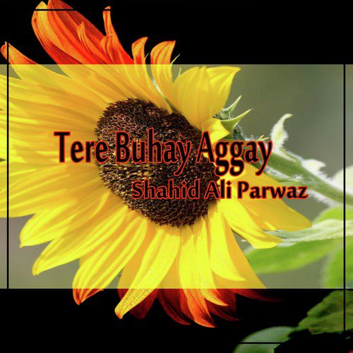 Teri Buhey Agey by Shahid Ali Parwaz - Download on PagalFree