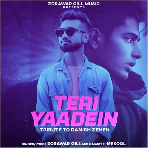 Teri Yaadein by Zorawar Gill - Download on PagalFree