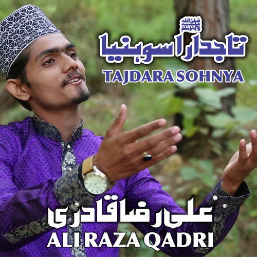 Sarkar Aagye Nay by Ali Raza Qadri - Download on PagalFree