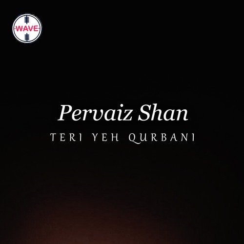 Masiha Main Wo by Pervaiz Shan - Download on PagalFree