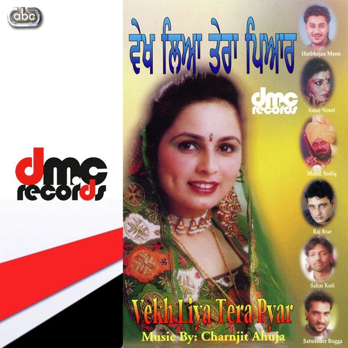 Sadi Zindagi by Various Artists - Download on PagalFree