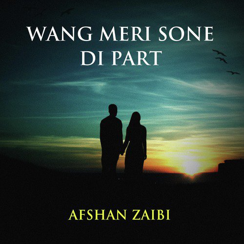 Wang Meri Sone Di by Afshan Zaibi - Download on PagalFree