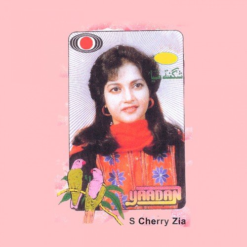 Naen Rehndian by S Cherry Zia - Download on PagalFree