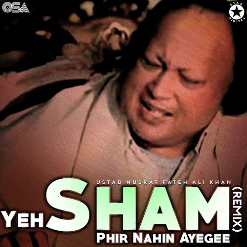 Yeh Sham Phir Nahin Ayegee (Remix) by Nusrat Fateh Ali Khan - Download on PagalFree