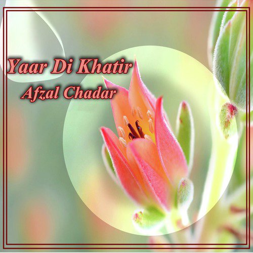 Lay Day Nathki by Afzal Chadar - Download on PagalFree