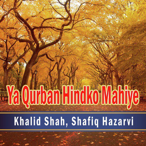 Ya Qurban Hindko Mahiye by Khalid Shah, Shafiq Hazarvi - Download on PagalFree