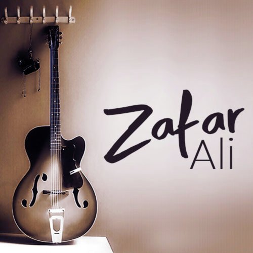 Bedarde Yaad Karegi Tun by Zafar Ali - Download on PagalFree