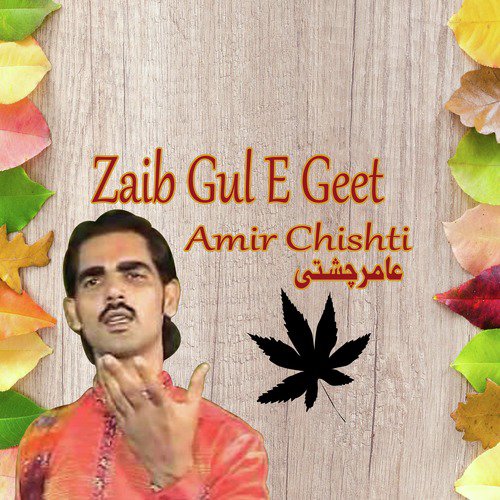 Rondey by Amir Chishti - Download on PagalFree