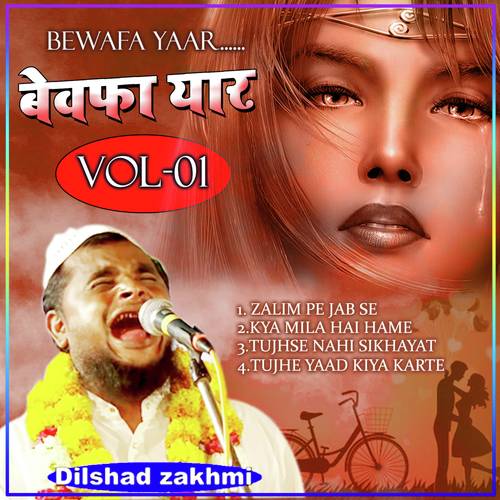 Zalim Pe Jabse by Dilshad Zakhmi - Download on PagalFree