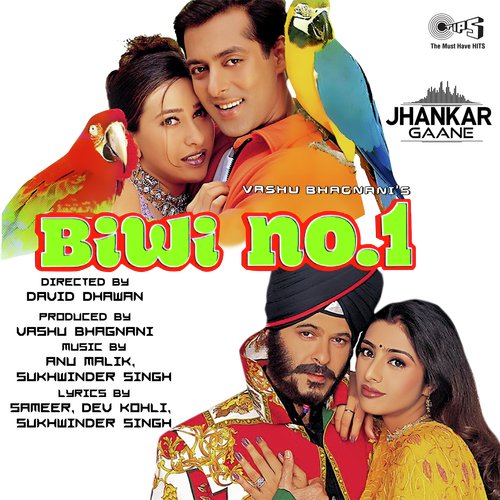 Chunnari Chunnari - Jhankar by Anu Malik - Download on PagalFree