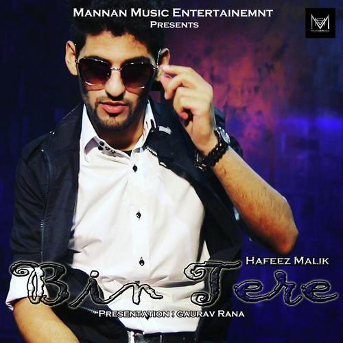 Bin tere by Hafeez Malik - Download on PagalFree