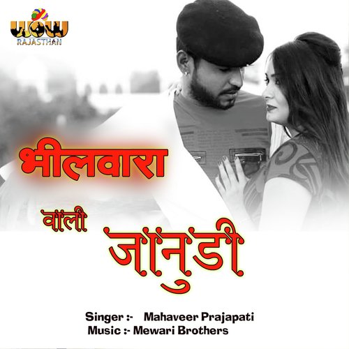 Bhilwara Wali Janudi by Mahaveer Prajapati - Download on PagalFree
