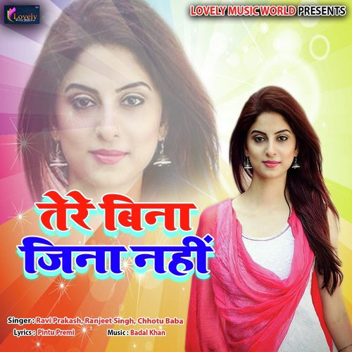 Tere Bina Jeena Nahi by Anu Dubey - Download on PagalFree