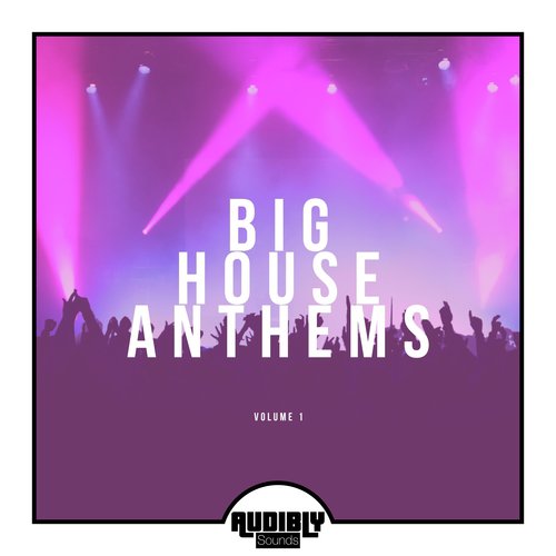 Flauta de Janeiro by Various Artists - Download on PagalFree