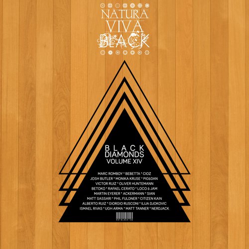 Galileo by Various Artists - Download on PagalFree