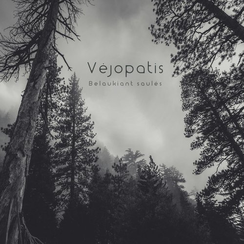 Griaustinio vaikai by Vejopatis - Download on PagalFree