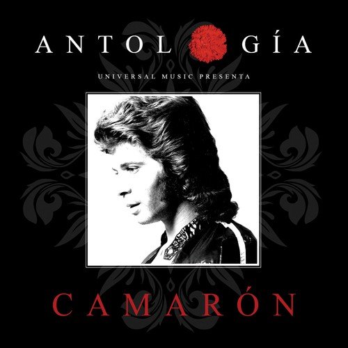 Me Olvidaste Te Olvide (Alegras) by Camaron De La Isla - Download on PagalFree