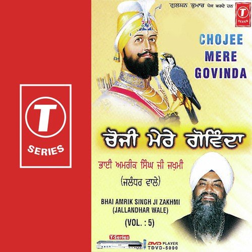 Tu Thakuro Bairagro by Bhai Amrik Singh Zakhmi - Download on PagalFree